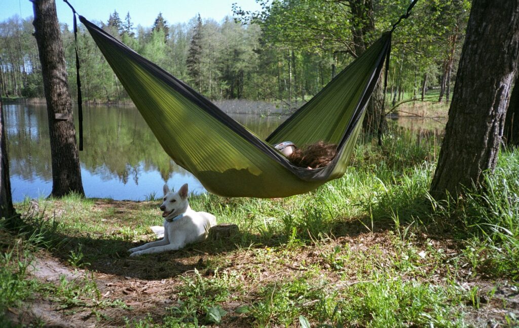 A woman relaxes in a hammock by a tranquil lake with her dog in a lush forest.