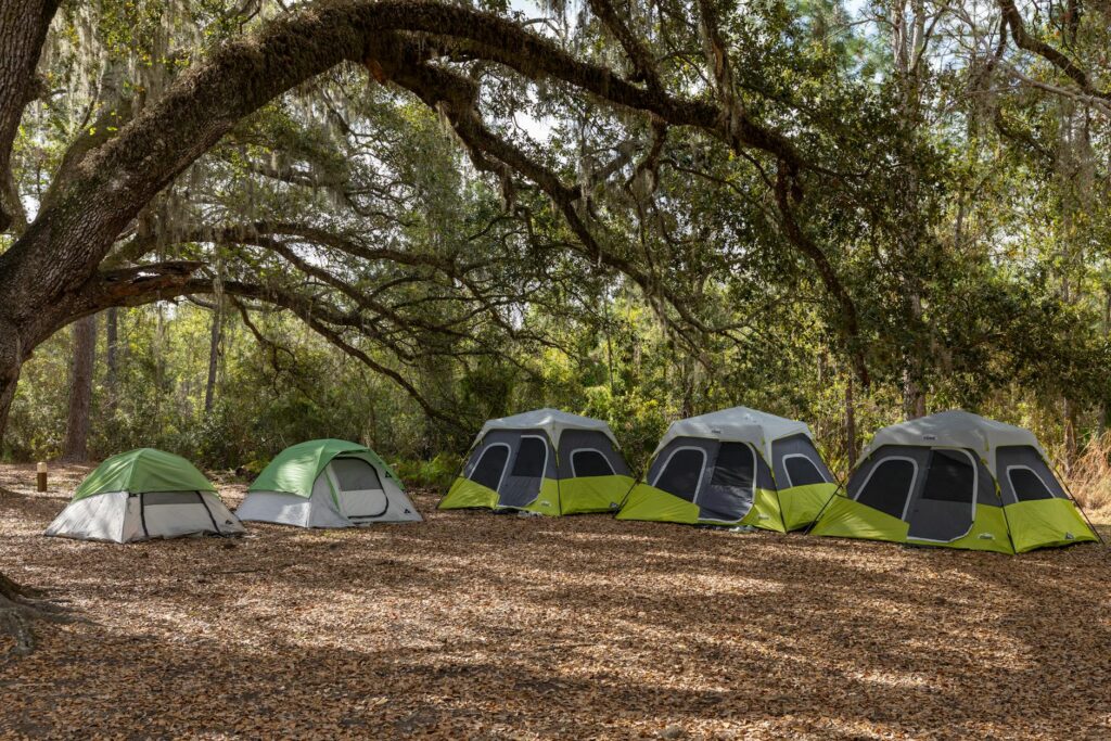 A row of tents in a peaceful forest camping site under a large tree.