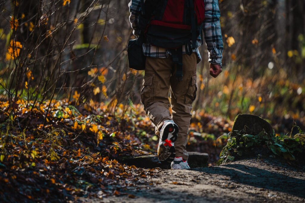 A person hiking a scenic fall forest trail surrounded by vibrant autumn leaves.